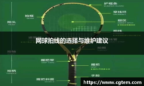 网球拍线的选择与维护建议